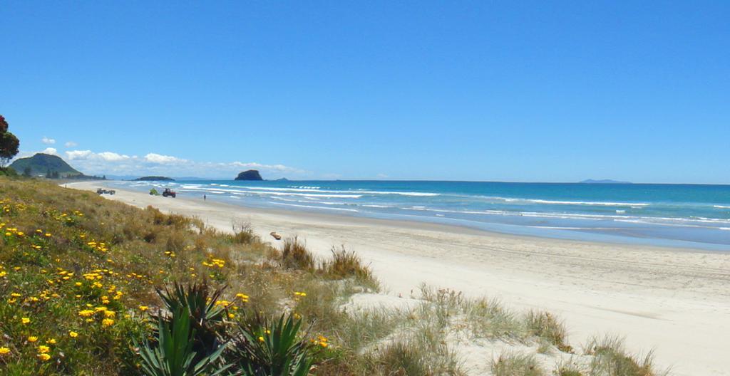 Blue Wave Motel Mt Maunganui 마운트마운가누이 외부 사진