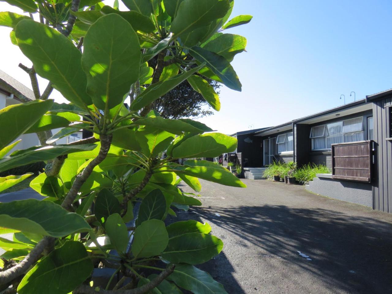 Blue Wave Motel Mt Maunganui 마운트마운가누이 외부 사진